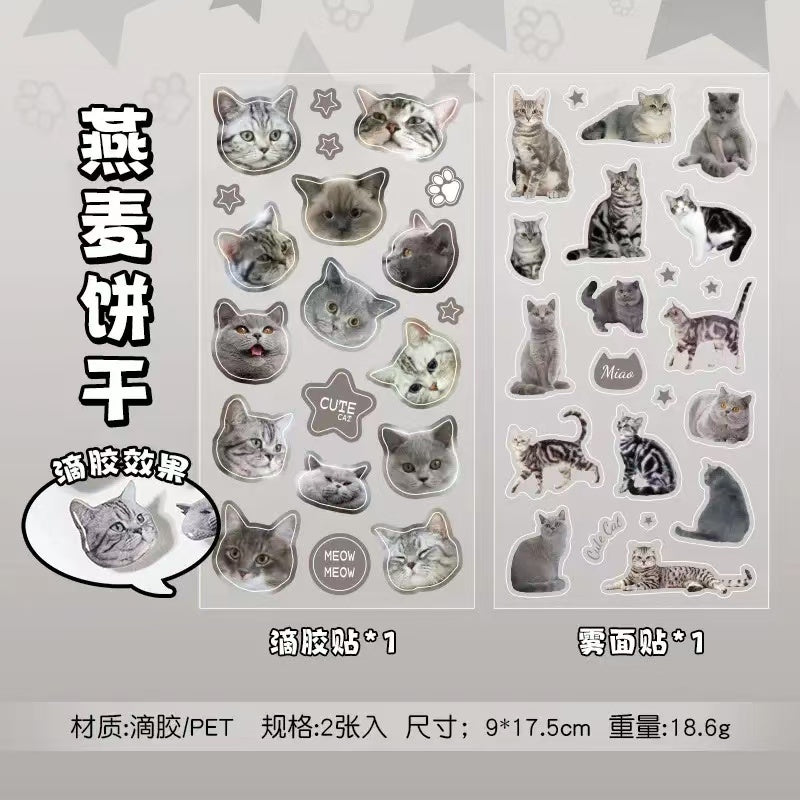 2Pcs Cat dropper stickers Set of 4