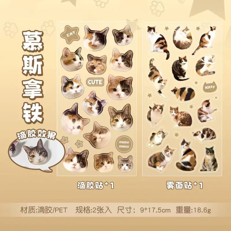 2Pcs Cat dropper stickers Set of 4