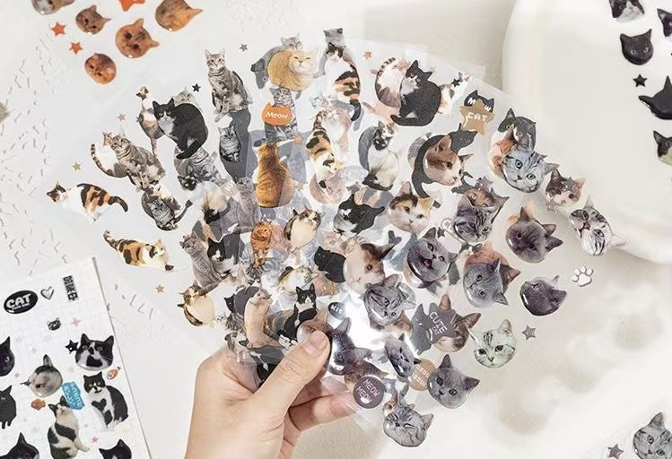 2Pcs Cat dropper stickers Set of 4