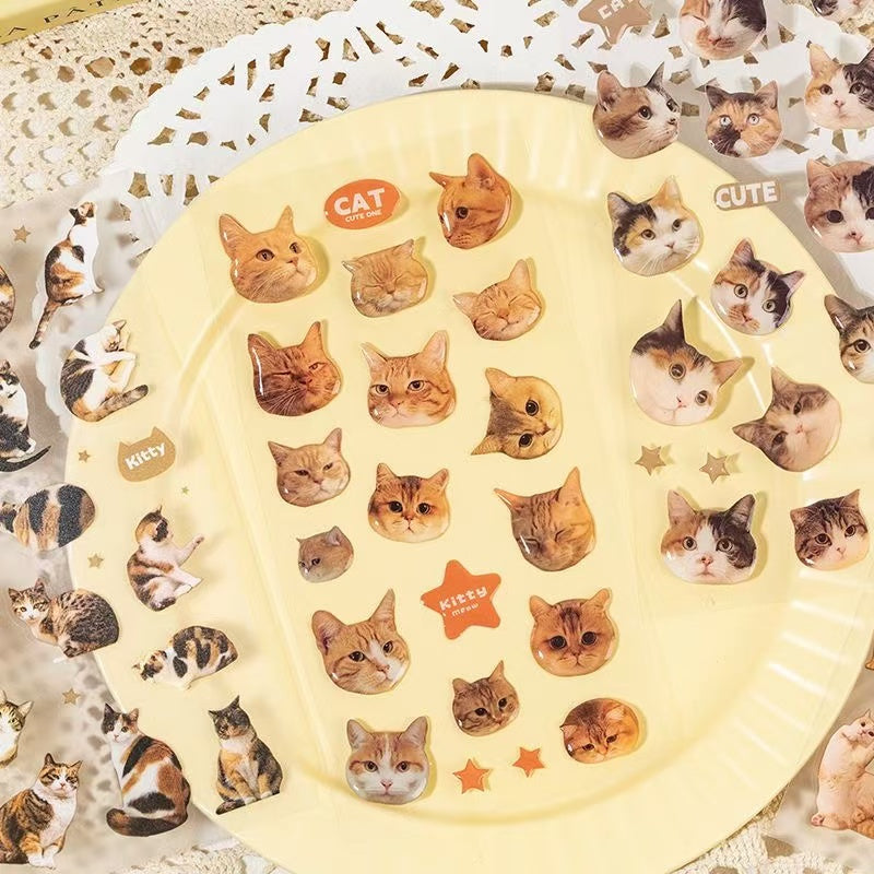 2Pcs Cat dropper stickers Set of 4