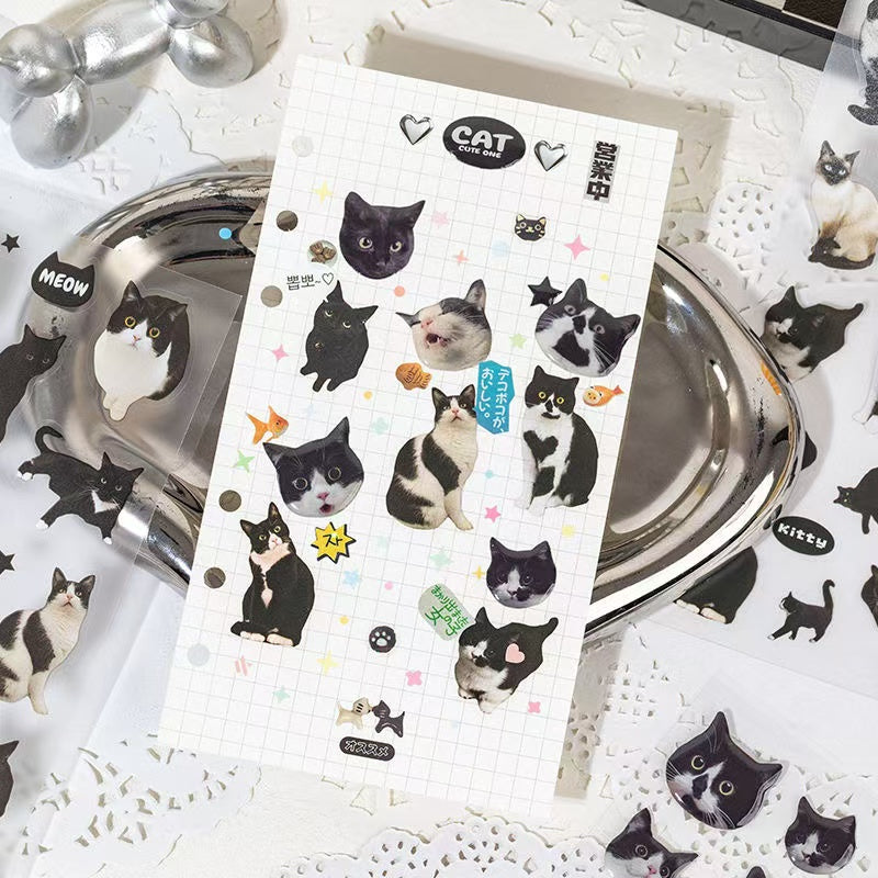 2Pcs Cat dropper stickers Set of 4