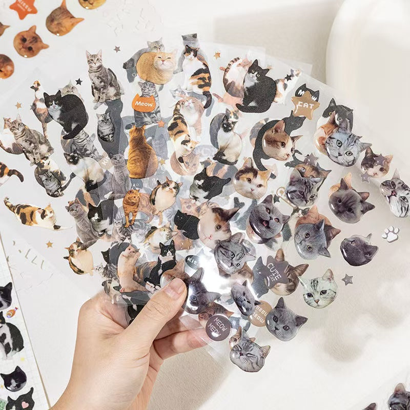 2Pcs Cat dropper stickers Set of 4