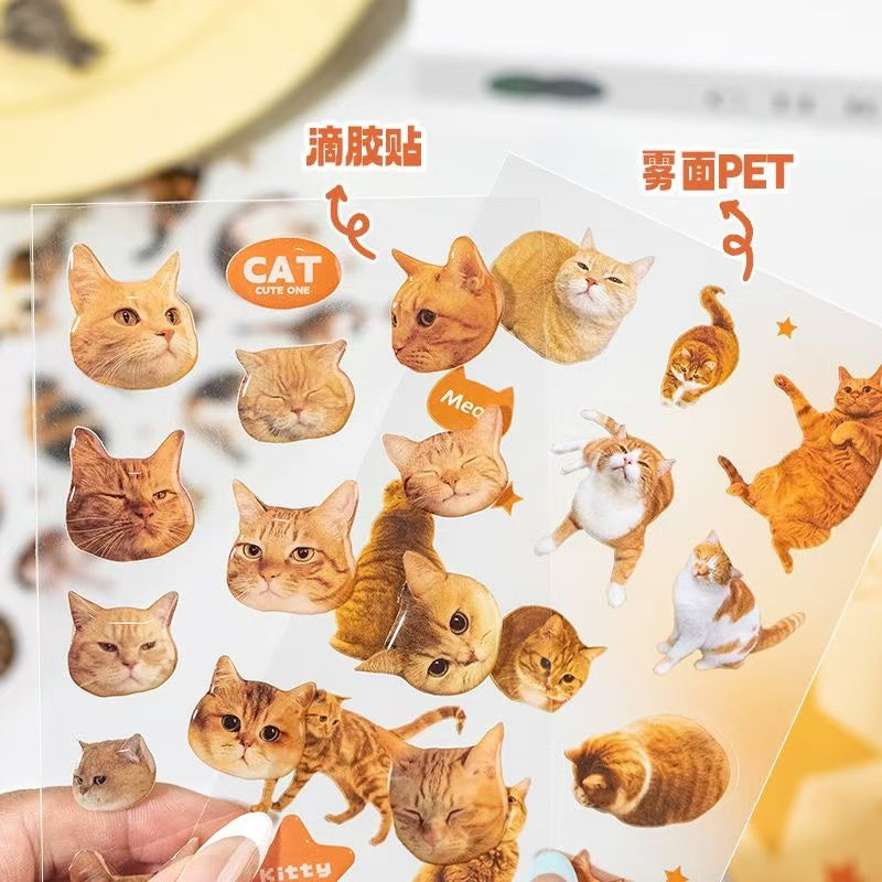 2Pcs Cat dropper stickers Set of 4