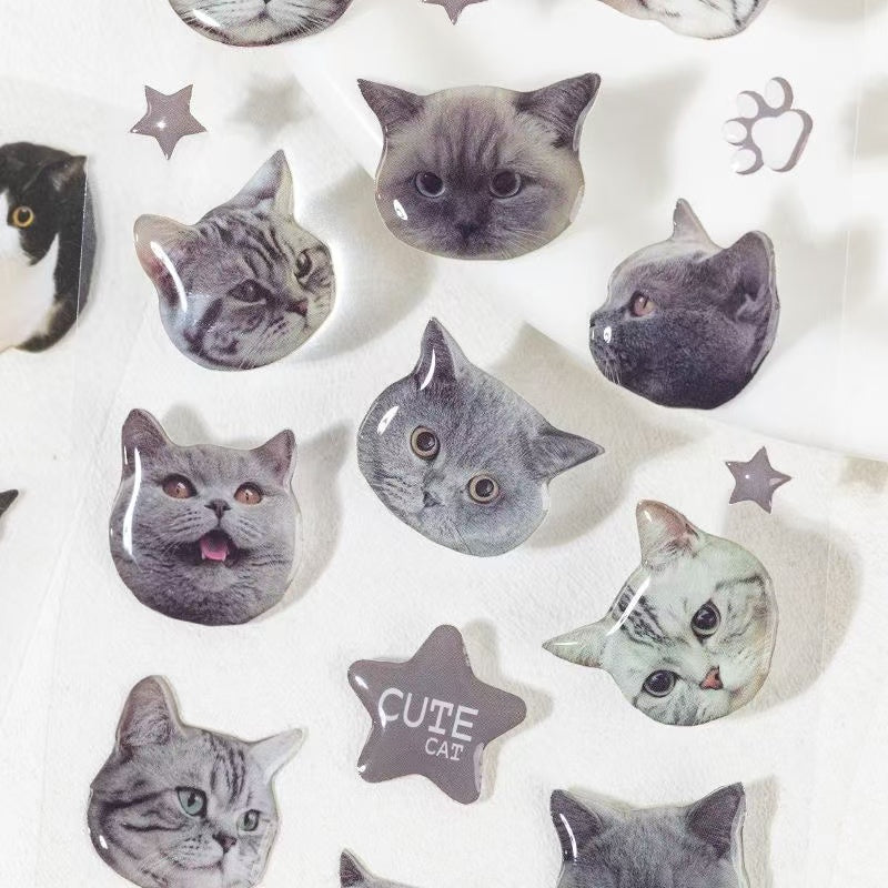 2Pcs Cat dropper stickers Set of 4