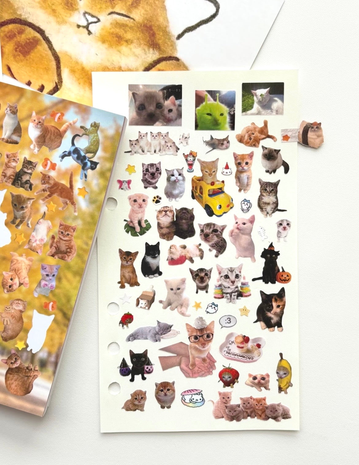 【Limited Edition】30Pages Little Cat Sticker Book