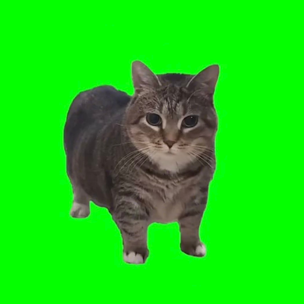 Funny Meme Cat Lenticular Cards Oiiaiiooiiai Cat Screaming Cat Banana Cat Six Abstract Kitten Unwrapped Small Cards Set of 6