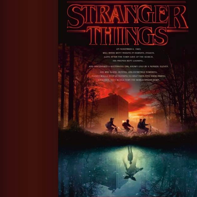 【Pre-Order/Group Buy Closed】Stranger Things Sticker Book