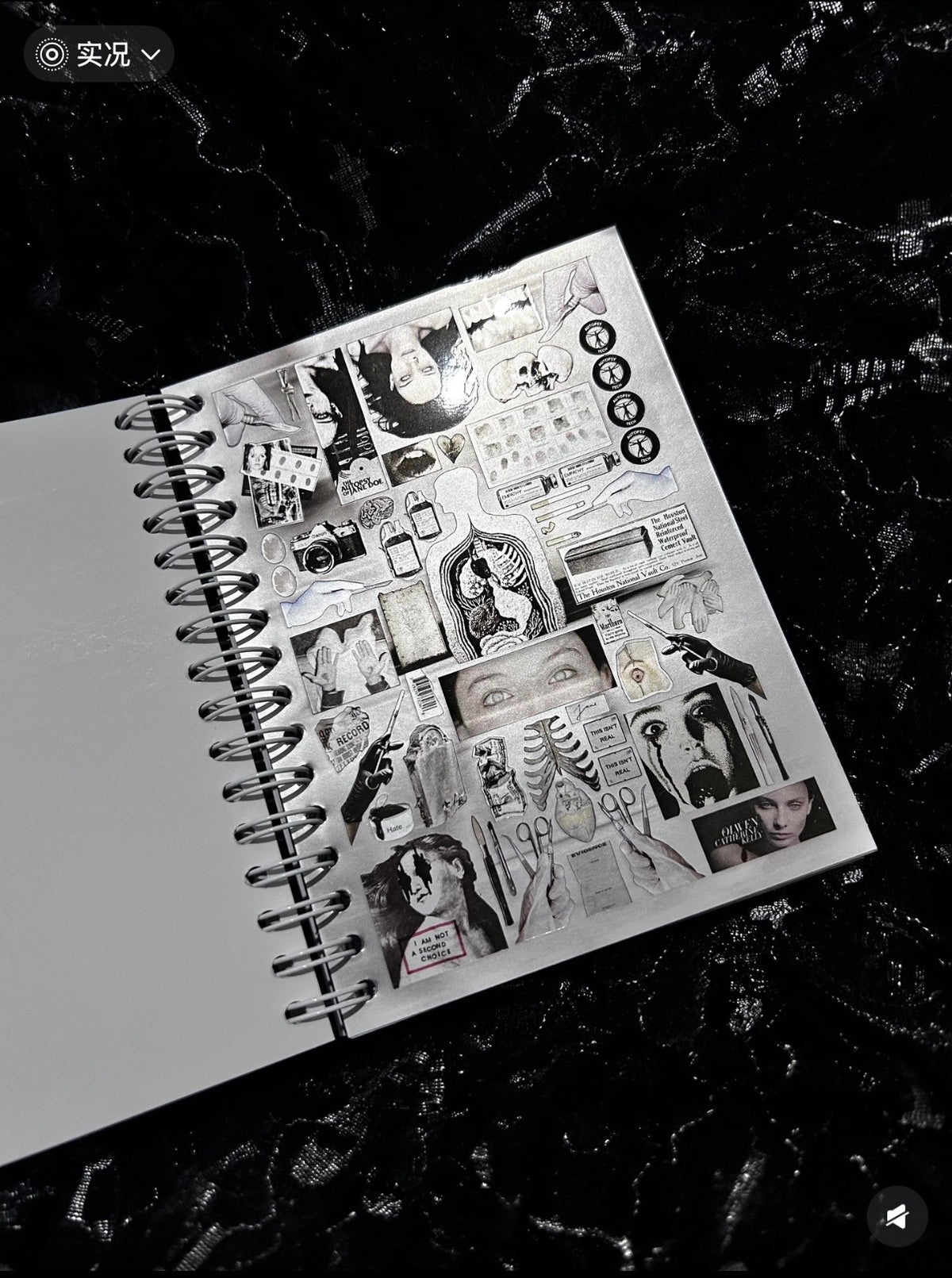 【Limited-Edition】40pages Insanity Sticker Book