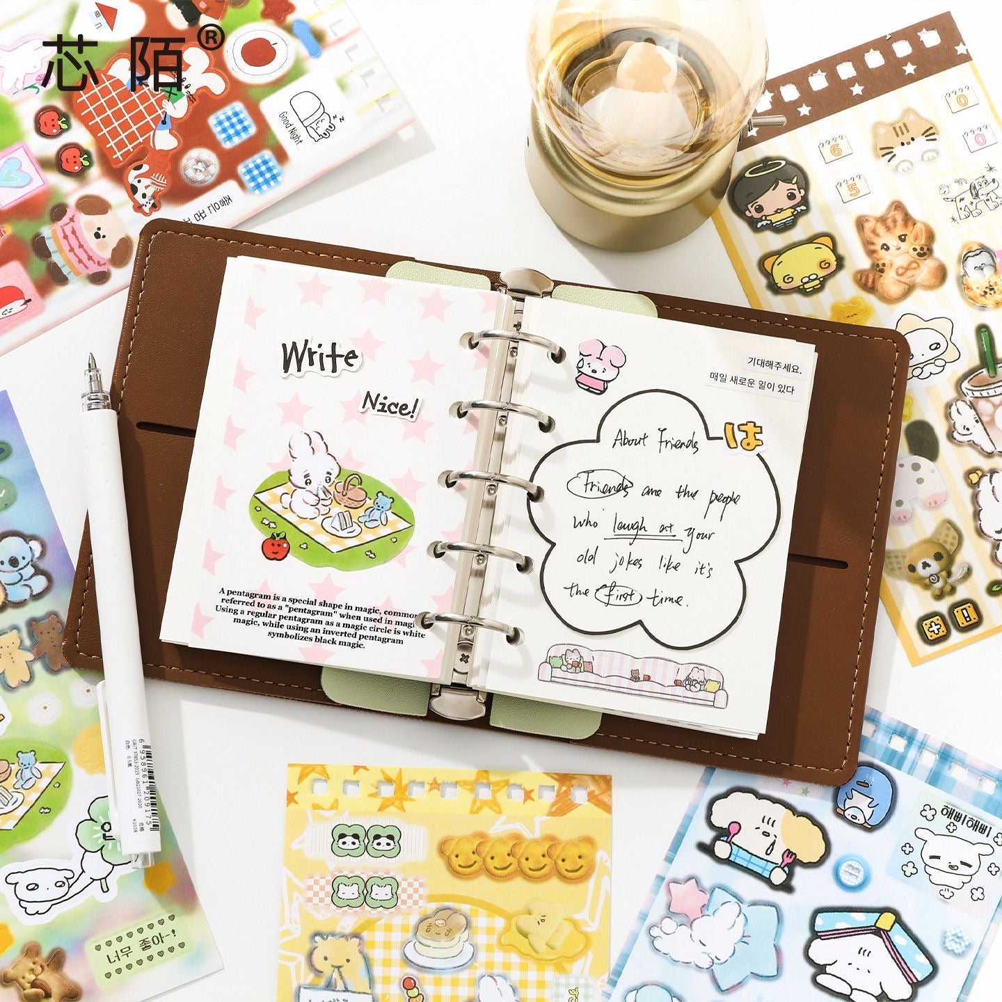 20 Pages Girl's Diary Sticker Book
