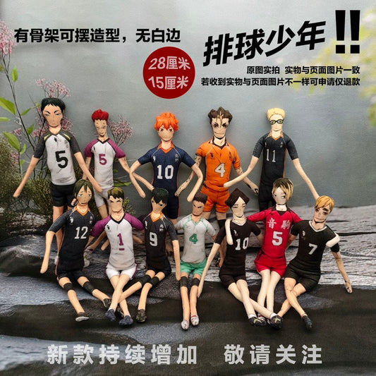 Haikyuu!! Laoshugan