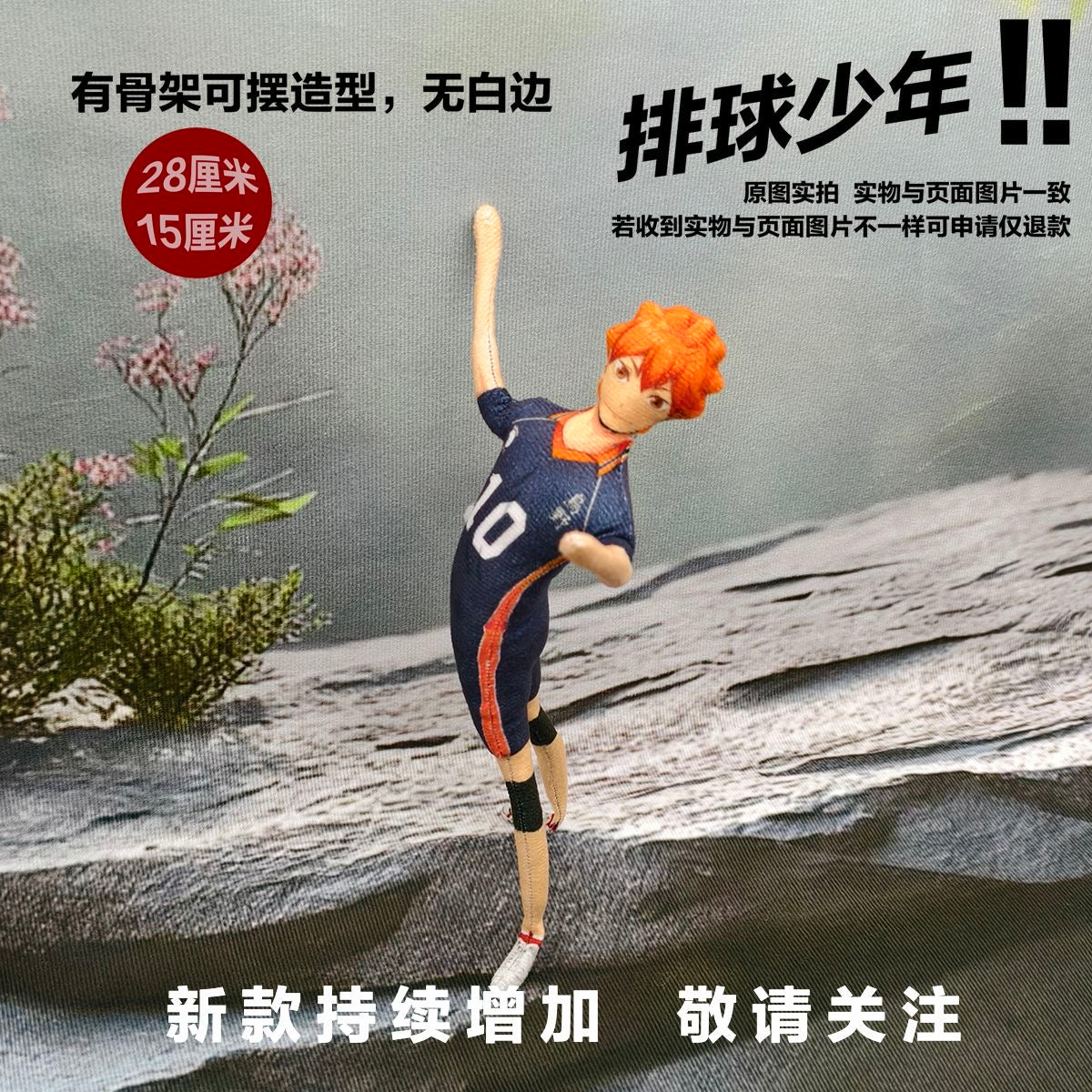 Haikyuu!! Laoshugan