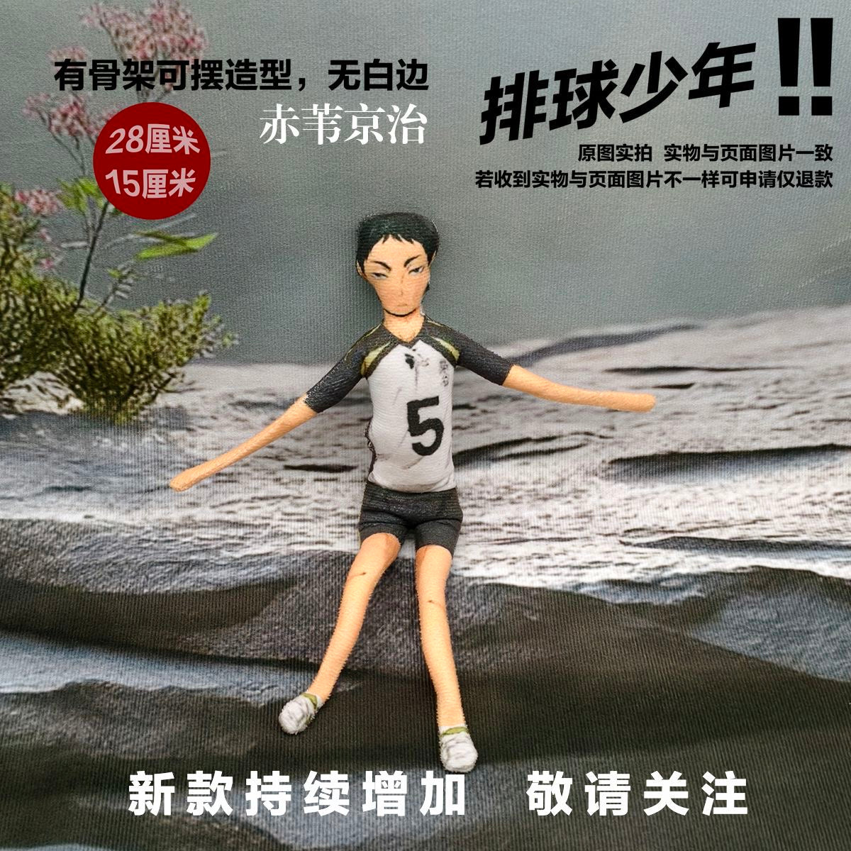 Haikyuu!! Laoshugan