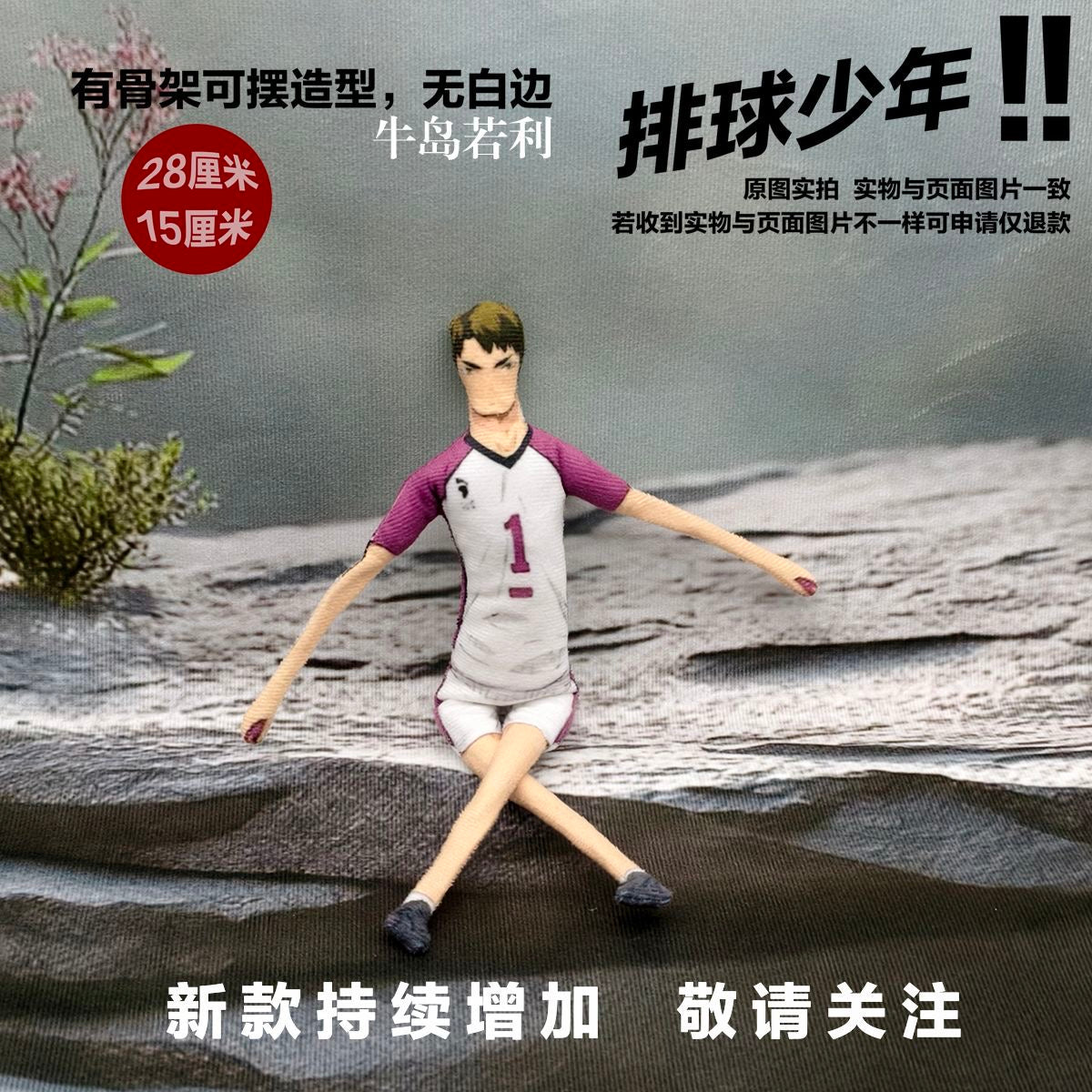 Haikyuu!! Laoshugan