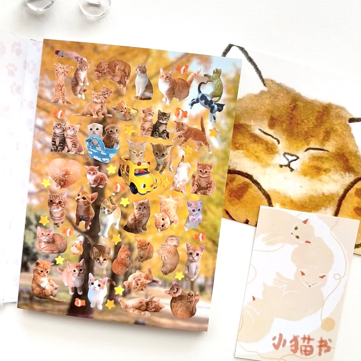 【Limited Edition】30Pages Little Cat Sticker Book