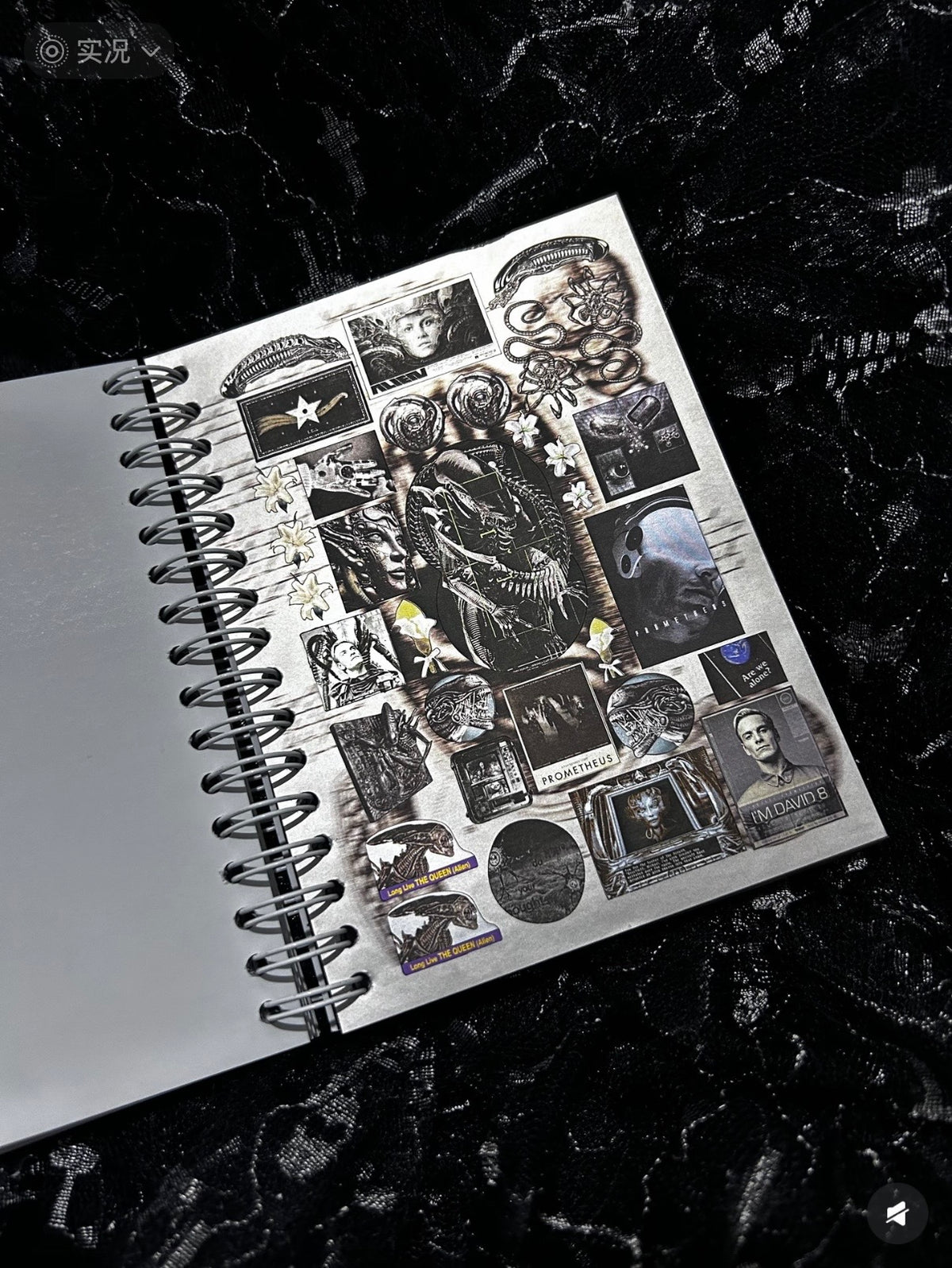 【Limited-Edition】40pages Insanity Sticker Book