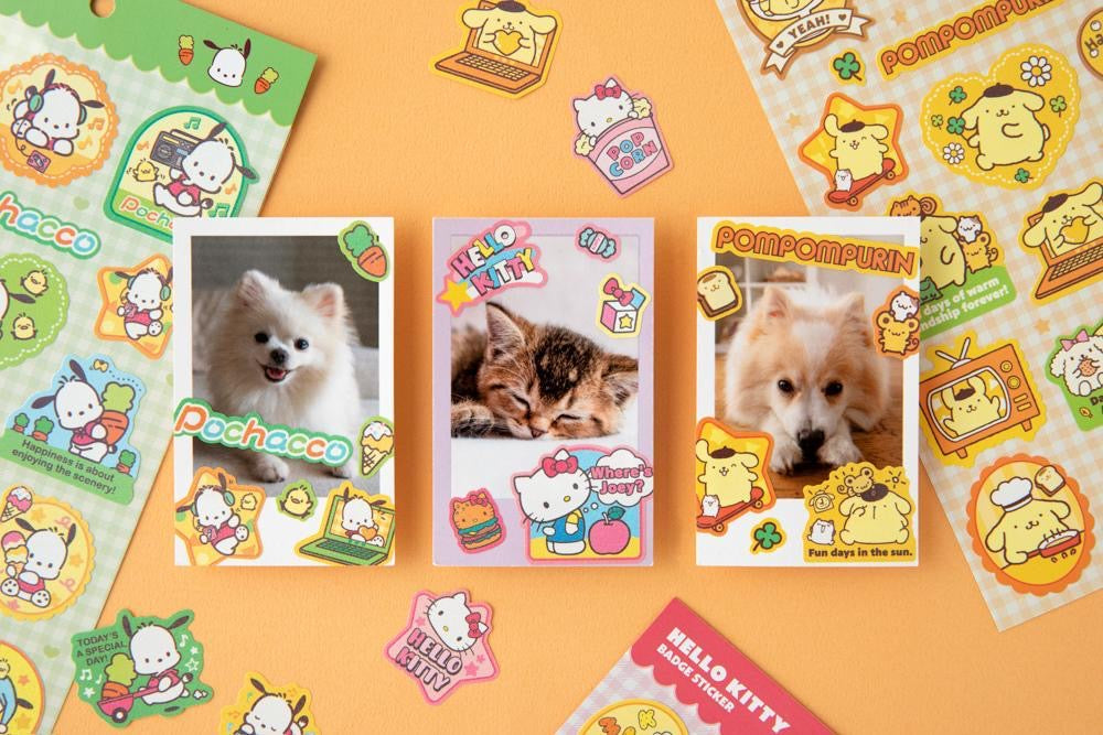 Sanrio Flash Sticker
